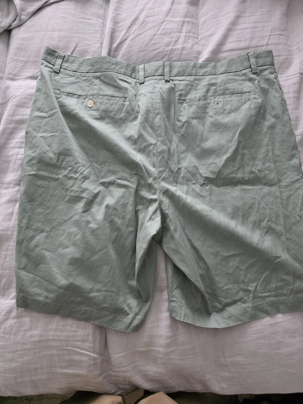 Banana Republic Mens Mint Green Shorts 42
